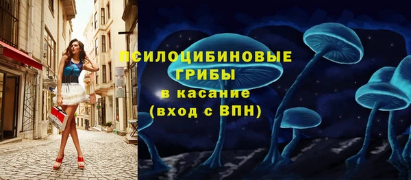 сатива Алексеевка