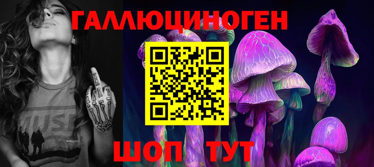 Псилоцибиновые грибы Psilocybe  Вход с VPN  Галлюциногенные грибы Psilocybine cubensis  Петрозаводск 