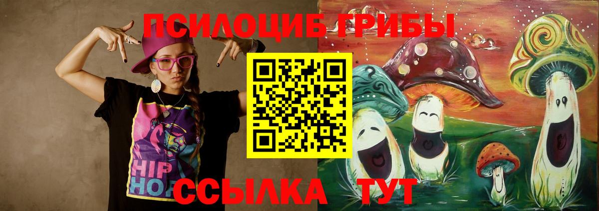 Псилоцибиновые грибы Psilocybe Петрозаводск